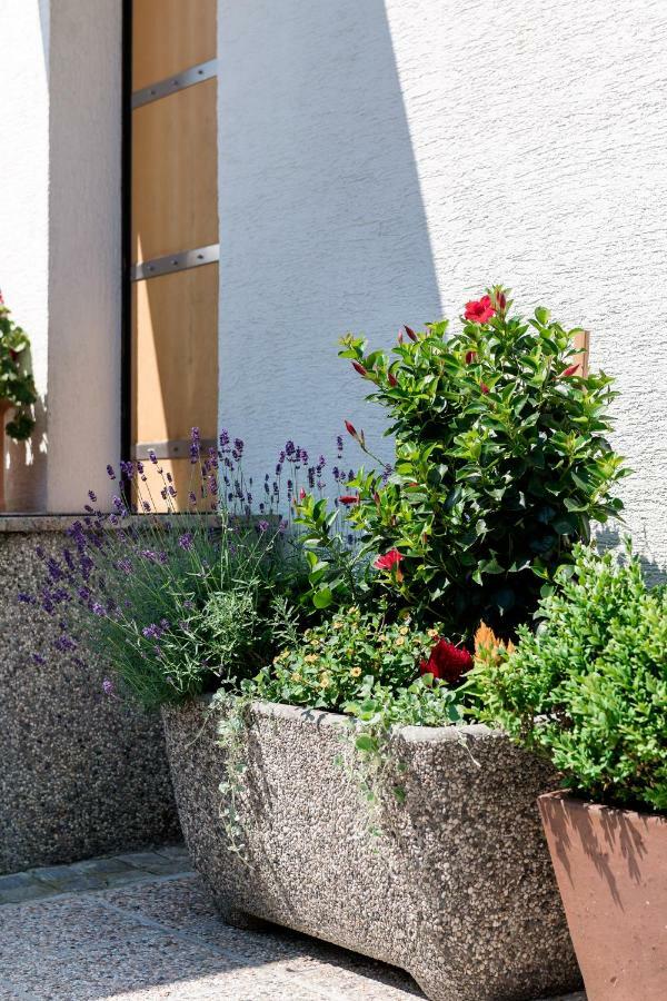 Rozna Dolina Apartment Ljubljana Exterior photo